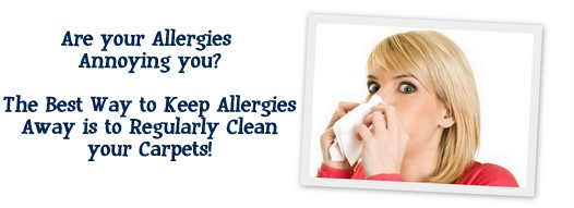 Carpet Cleaning San Bruno, CA