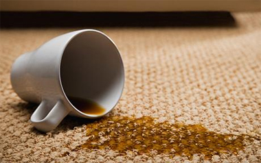 Carpet Cleaning San Bruno, CA