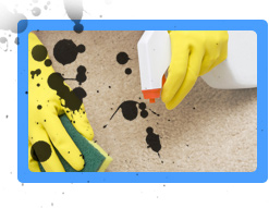 Carpet Cleaning San Bruno, CA